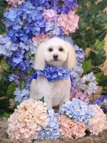 20250621風太郎くん